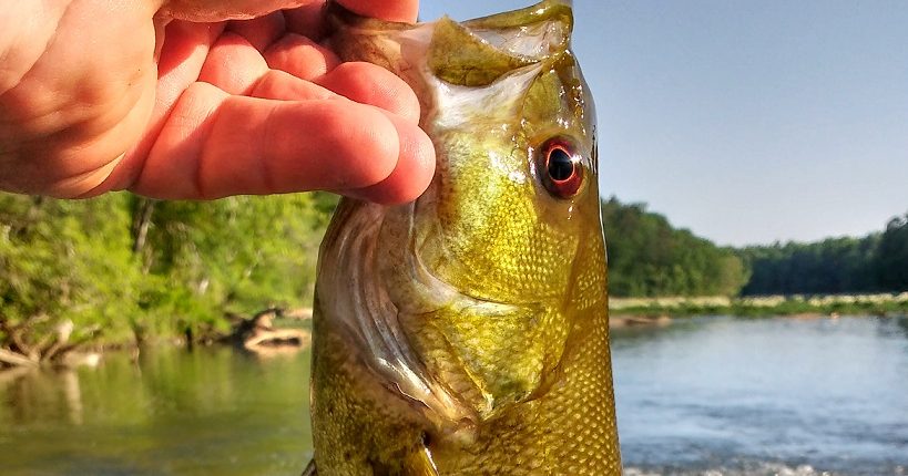 fishing lake purdy – Cahaba River Society