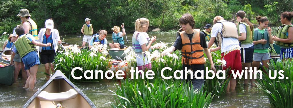 Guided canoe tours with Cahaba River Society