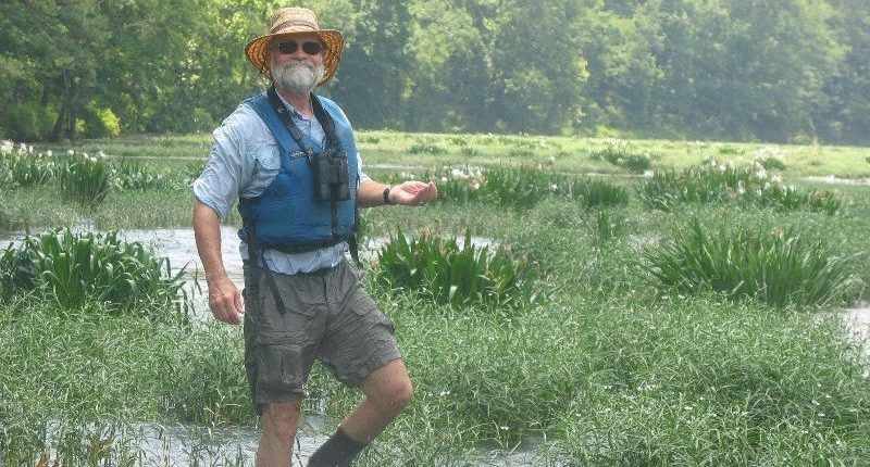 Dr. Randy Haddock stands among Cahaba lilies