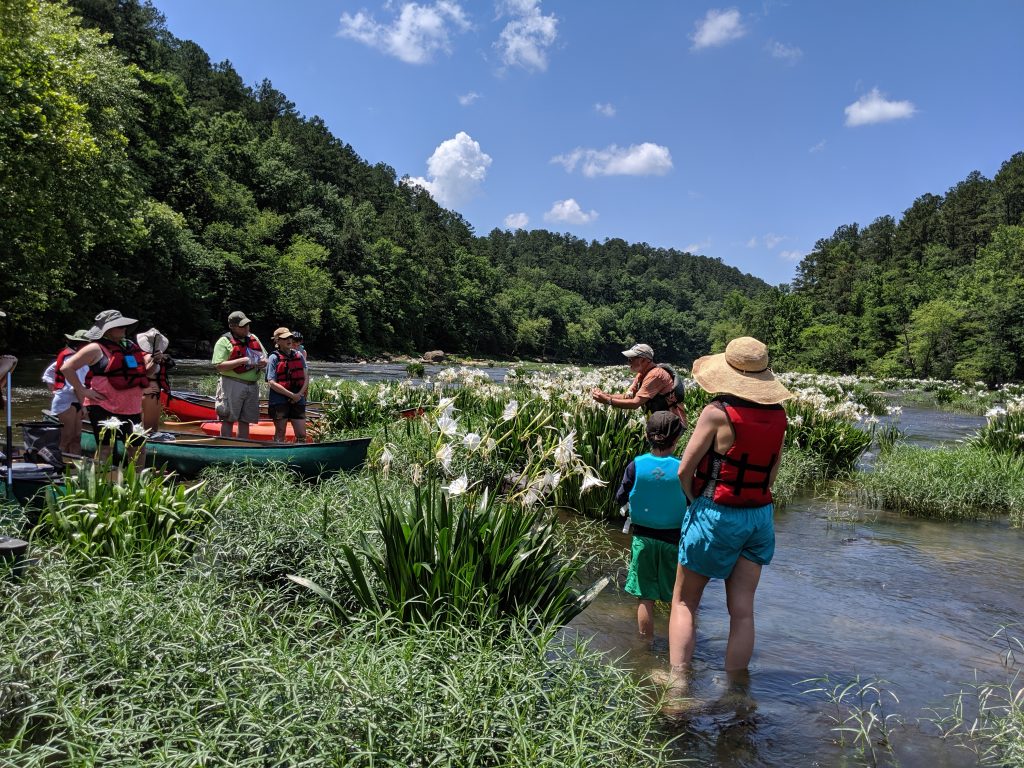 Guided Canoe Tour Cahaba Lilies Trip IITRIP FULL Cahaba River Society