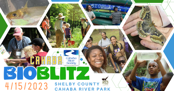 Cahaba BioBlitz 2023 at Cahaba River Park in Shelby County