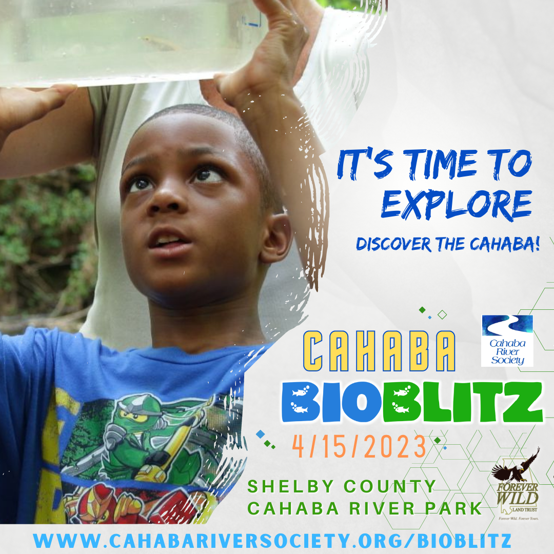 Cahaba River Society to host BioBlitz and Cahaba River Ramble at Cahaba River Park